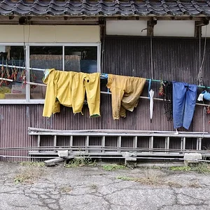 44.webp
