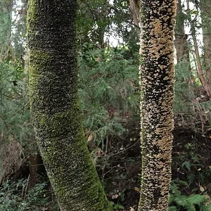 DSCF2541.webp