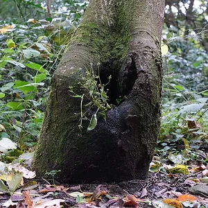 DSCF2547.webp