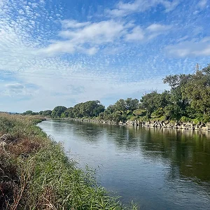 tamagawa-01.webp