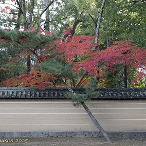 Japan_Nov_2025-9917.webp