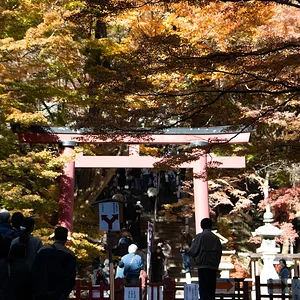 Japan_Nov_2025-9939.webp