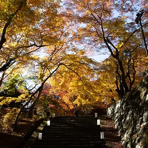 Japan_Nov_2025-9947.webp