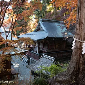 Japan_Nov_2025-9962.webp