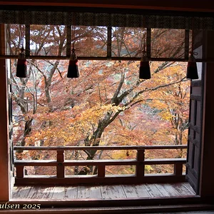 Japan_Nov_2025-0006.webp