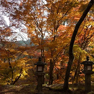 Japan_Nov_2025-0014.webp
