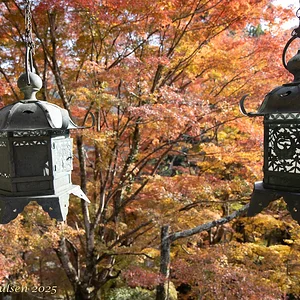 Japan_Nov_2025-0001.webp