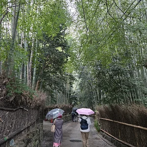 1000001913.webp