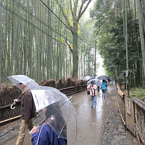 1000001915.webp