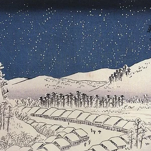 Snow falling on a town.