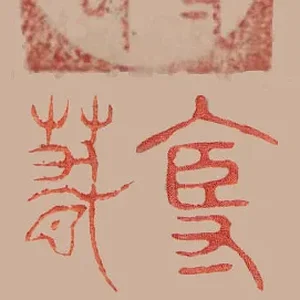 x.webp