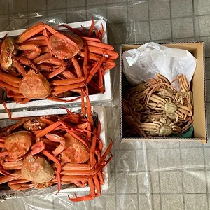 crabs.webp