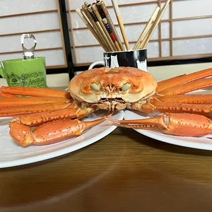 crab.webp