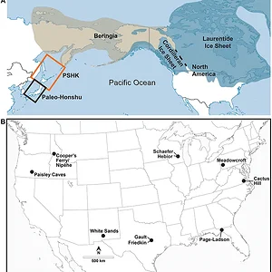 beringia.webp