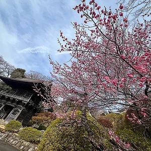 ume-togakuin-2.webp