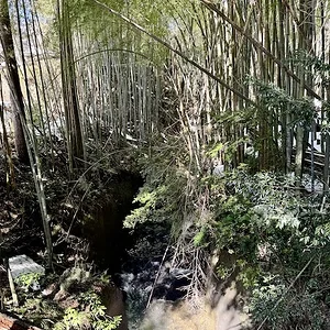 upstream.webp