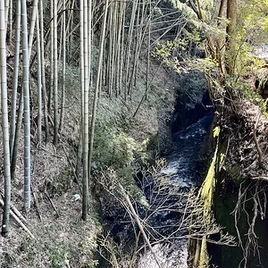 downstream.webp