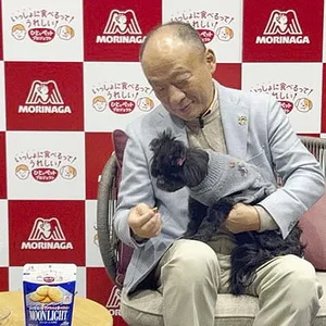 morinaga-pet-snacks.webp