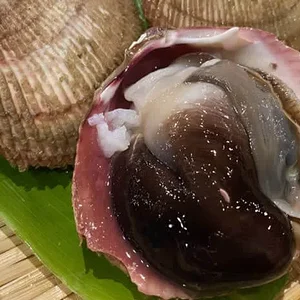 japanese-egg-cockle.webp
