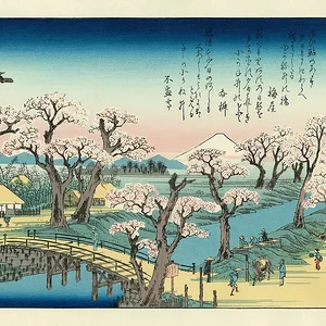 Evening Glow at Koganei
