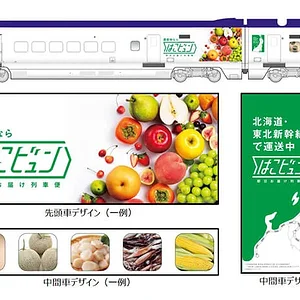 cargo-shinkansen.webp