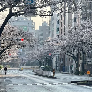 meiji-dori.webp