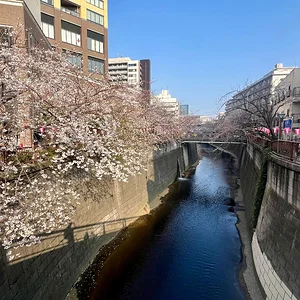nakameguro.webp