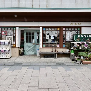 2.webp
