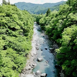 2.webp