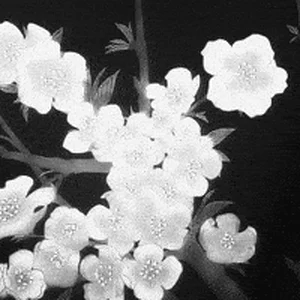 200.gif