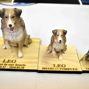pet-models.webp