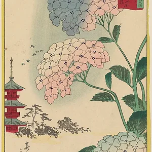 Horikiri no Hanashōbu