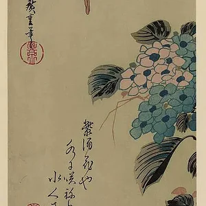 Ajisai ni Kawasemi