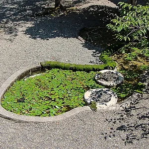 Hikone Castle