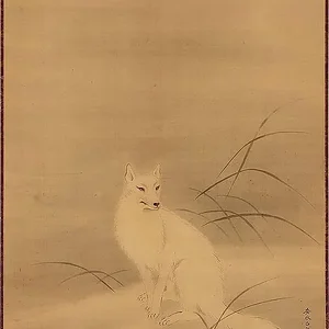Hakko-zu