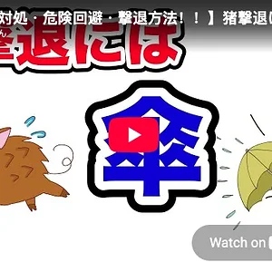 1784035474611.webp