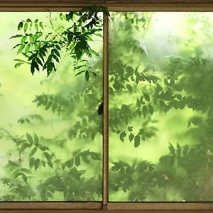 windows.webp