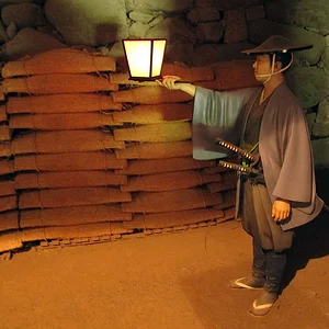 Tsuruga Castle