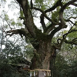 Atsuta Shrine