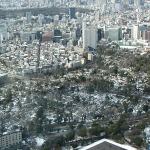 Aoyama Cemetery