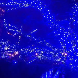 Blue Cave Nakameguro