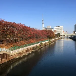 Sarue Park
