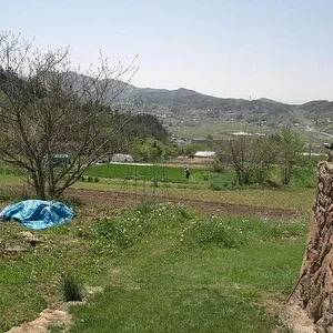CIMG1665