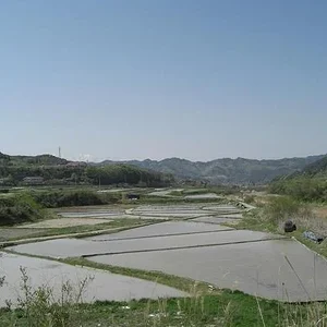 CIMG1683