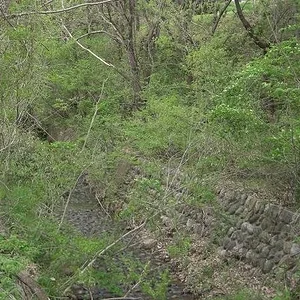 river