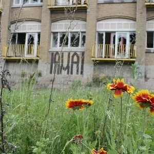 The RTT ruin in East Dunkirk.