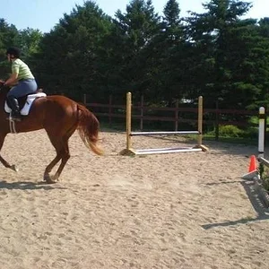 Picture 1 lexi forward2*