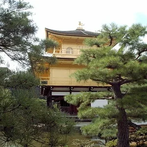 Kinkakuji from side