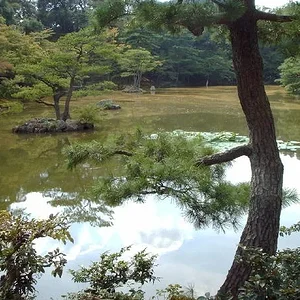 Gardens in Kinkakuji