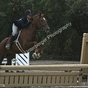 Lexi at cross roads horse show....